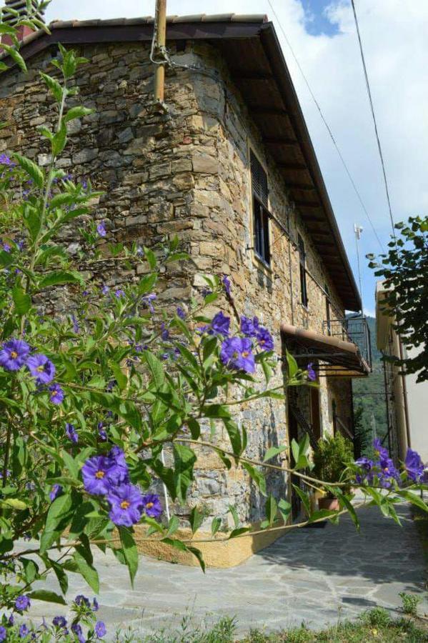 Agriturismo Osteria Du Barba Pe' - Casa Cassini Bordighera Exteriör bild