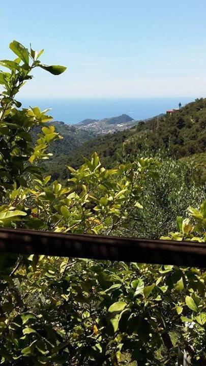 Agriturismo Osteria Du Barba Pe' - Casa Cassini Bordighera Exteriör bild