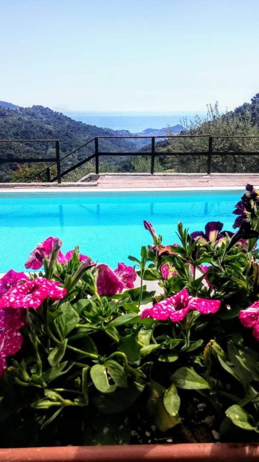 Agriturismo Osteria Du Barba Pe' - Casa Cassini Bordighera Exteriör bild